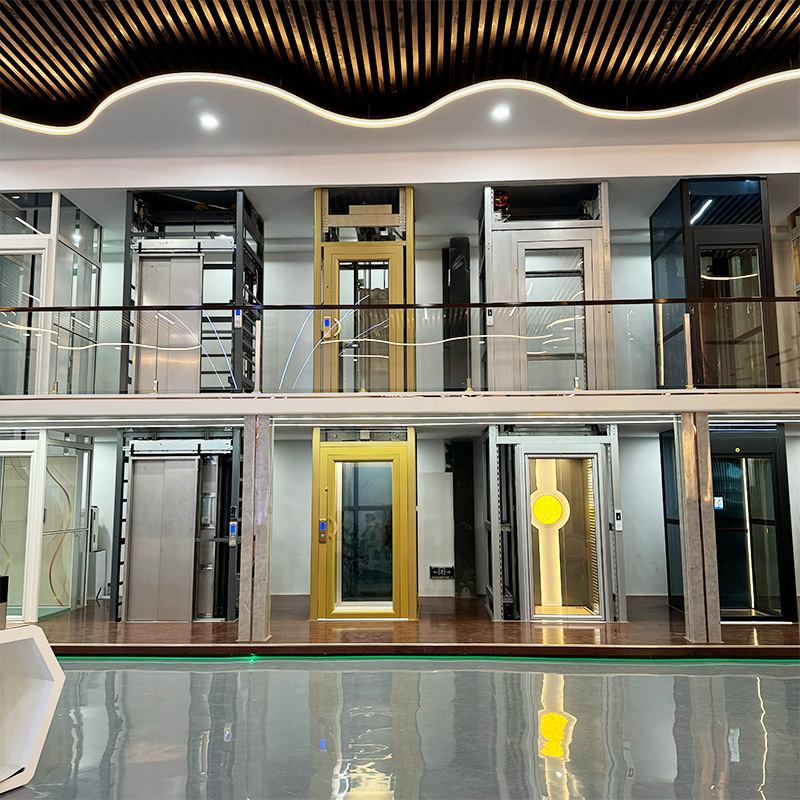 10-Product By Color-Anter Home Elevators Showroom's Lounge