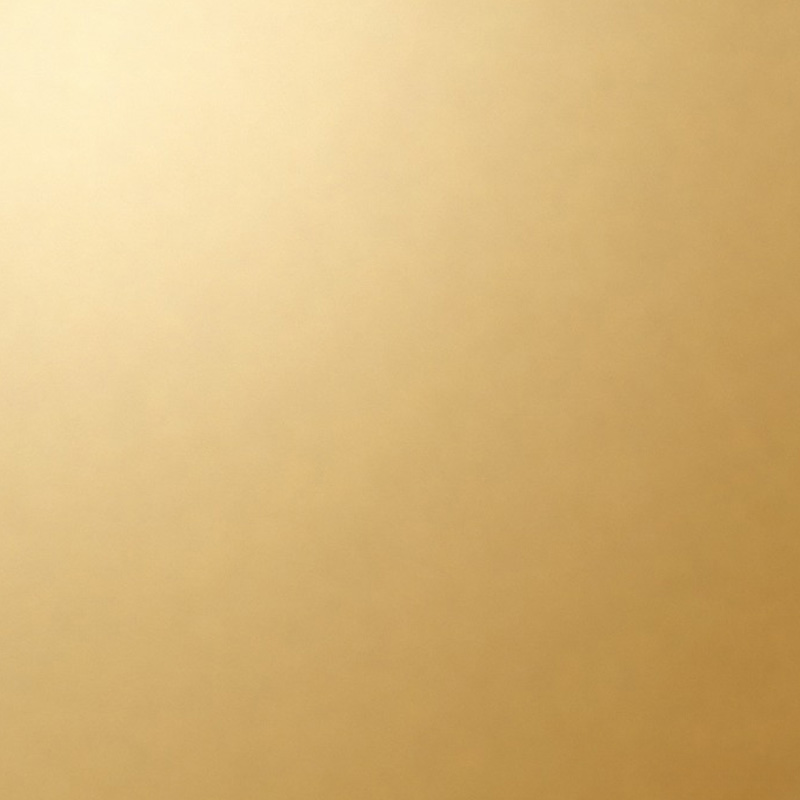 5-Anter home elevator-Champagne Gold