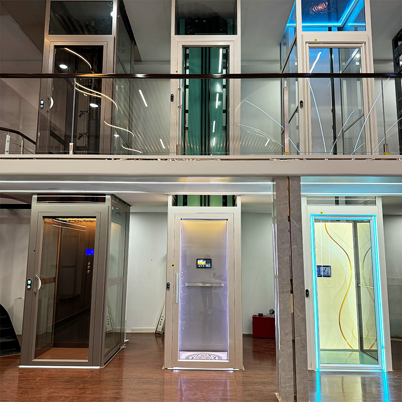 7-Product By Color-Anter Home Elevators Showroom's Lounge