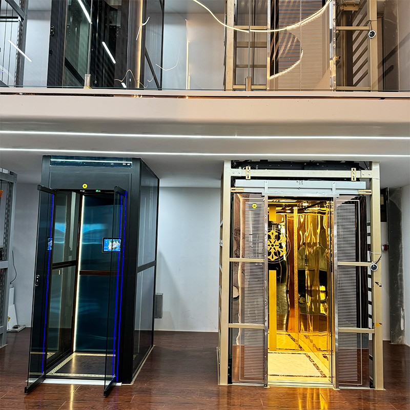 9-Product By Color-Anter Home Elevators Showroom's Lounge