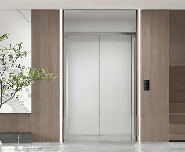Different Types of Home Elevators: Professional Guide