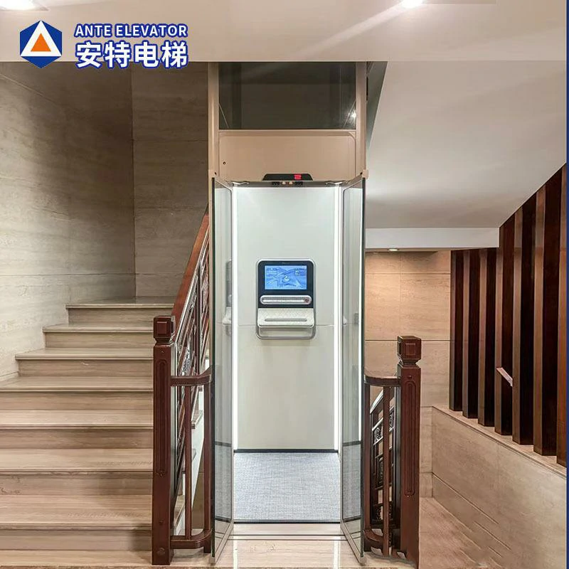 The Professional Single Person Lift for Home Manufacturer in China