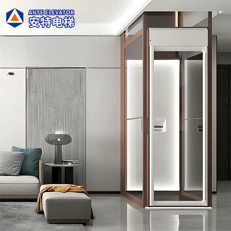 The Professional Single Person Lift for Home Manufacturer in China