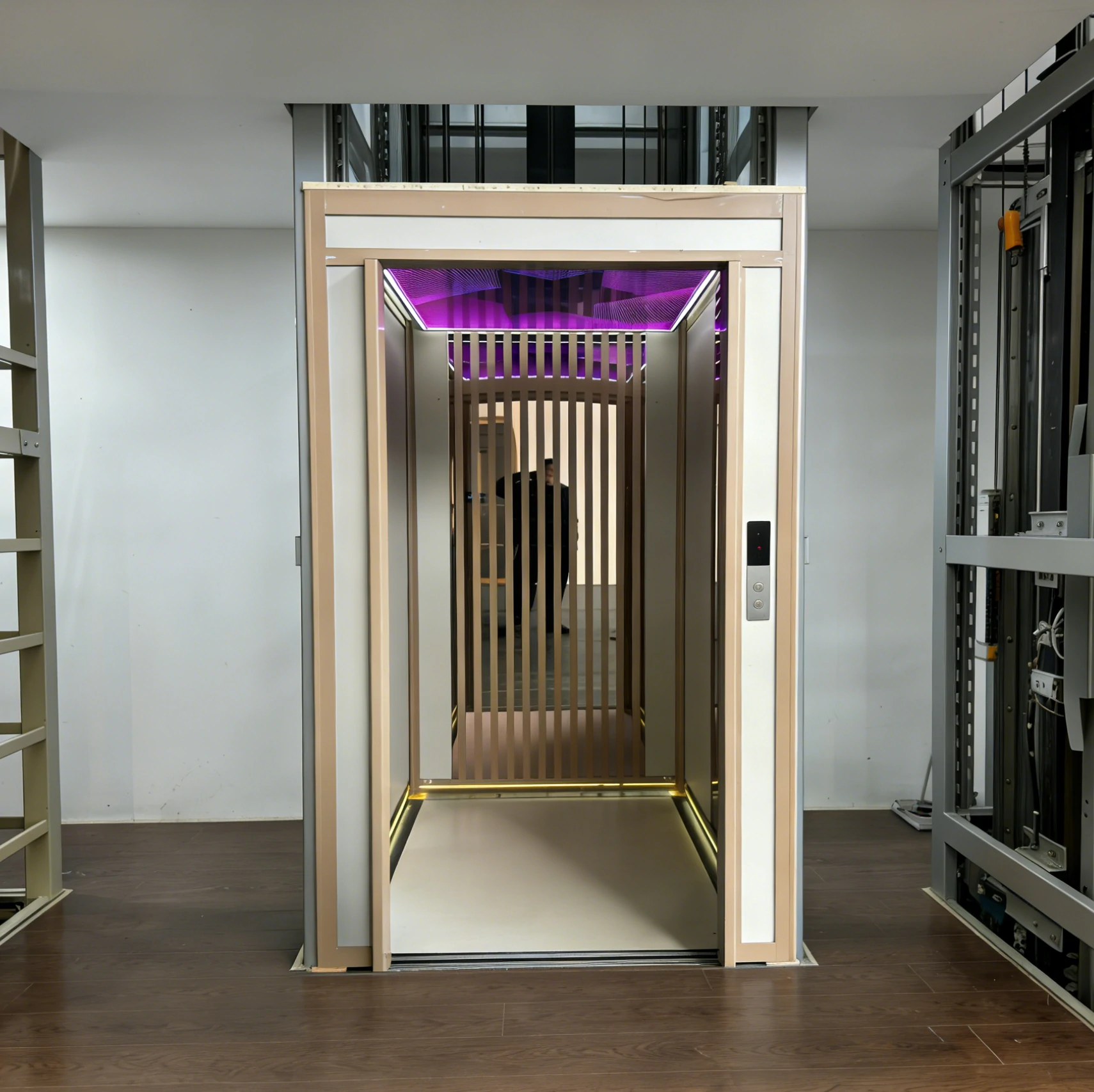 Stainless Steel Closet Elevator