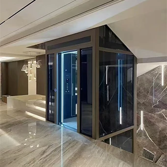 Villa 6 Person Passenger Elevator