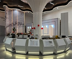 Anter—The Reliable Choice for Hole Hydraulic Elevator Supplier