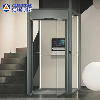 Vintage Glass Home Elevators