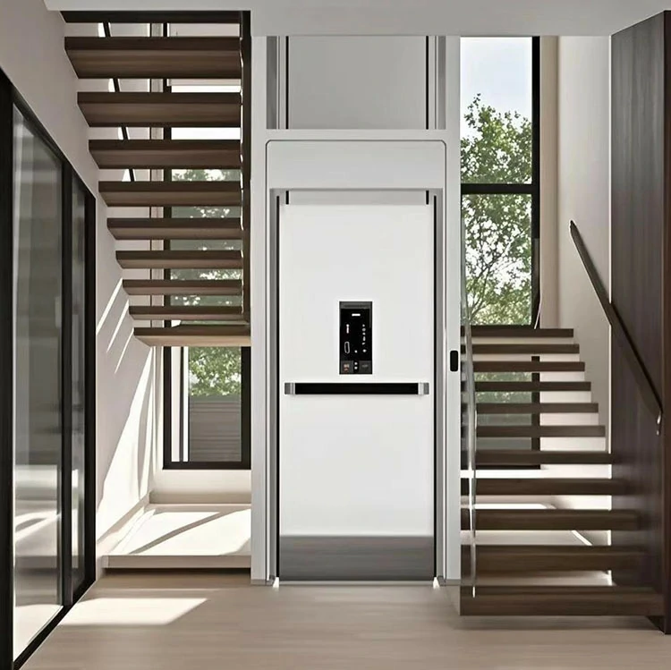 Anter home elevator-glass elevator