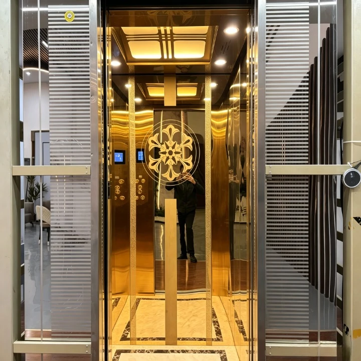 Anter Small Home Elevator--Electric Doors