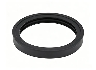 Anter Cargo Lifts--Imported Sealing Rings