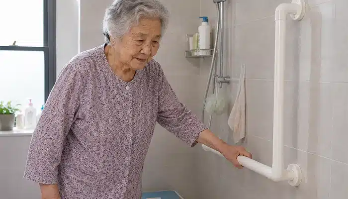Anter Home Elevator--handrail